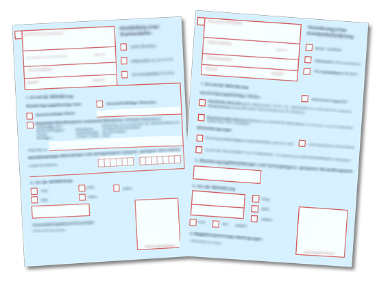 Handicap Service (Inhaber: Björn Duldhardt) - Transportschein